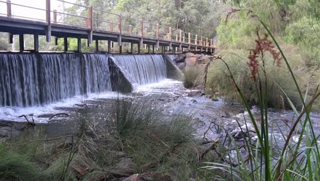 Long-Grass-Blowing-In-Breeze-With-Water-Flowing-Over-Weir-In-Background