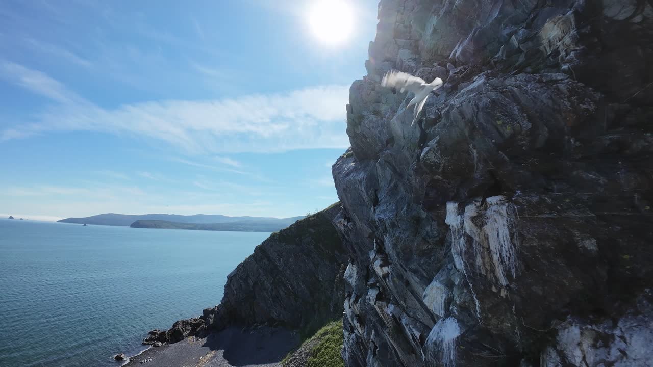 Explore a mesmerizing rocky coastline at dawn with vibrant skies and calm waters