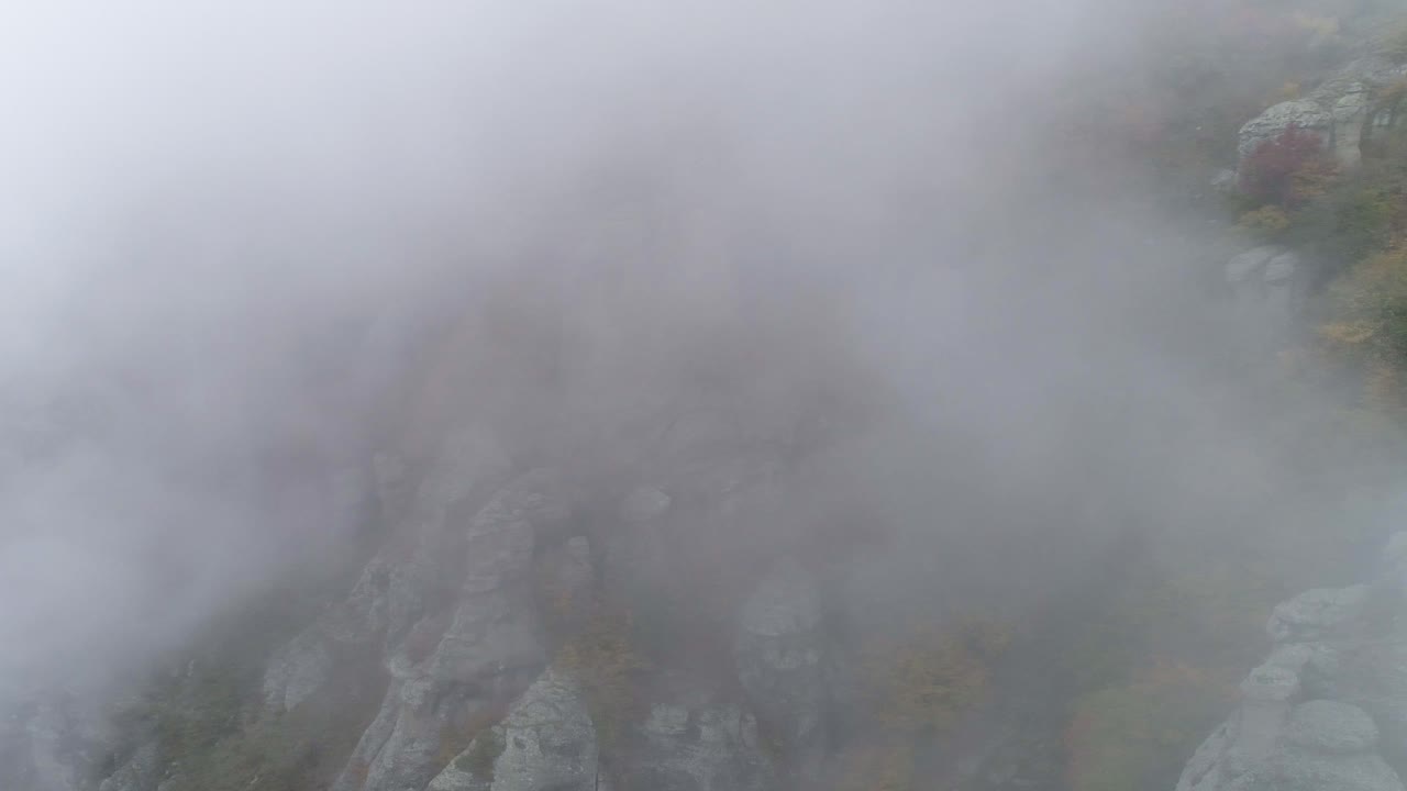 안개가 가득한 산꼭대기