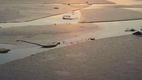close up of cracked ice on the ocean