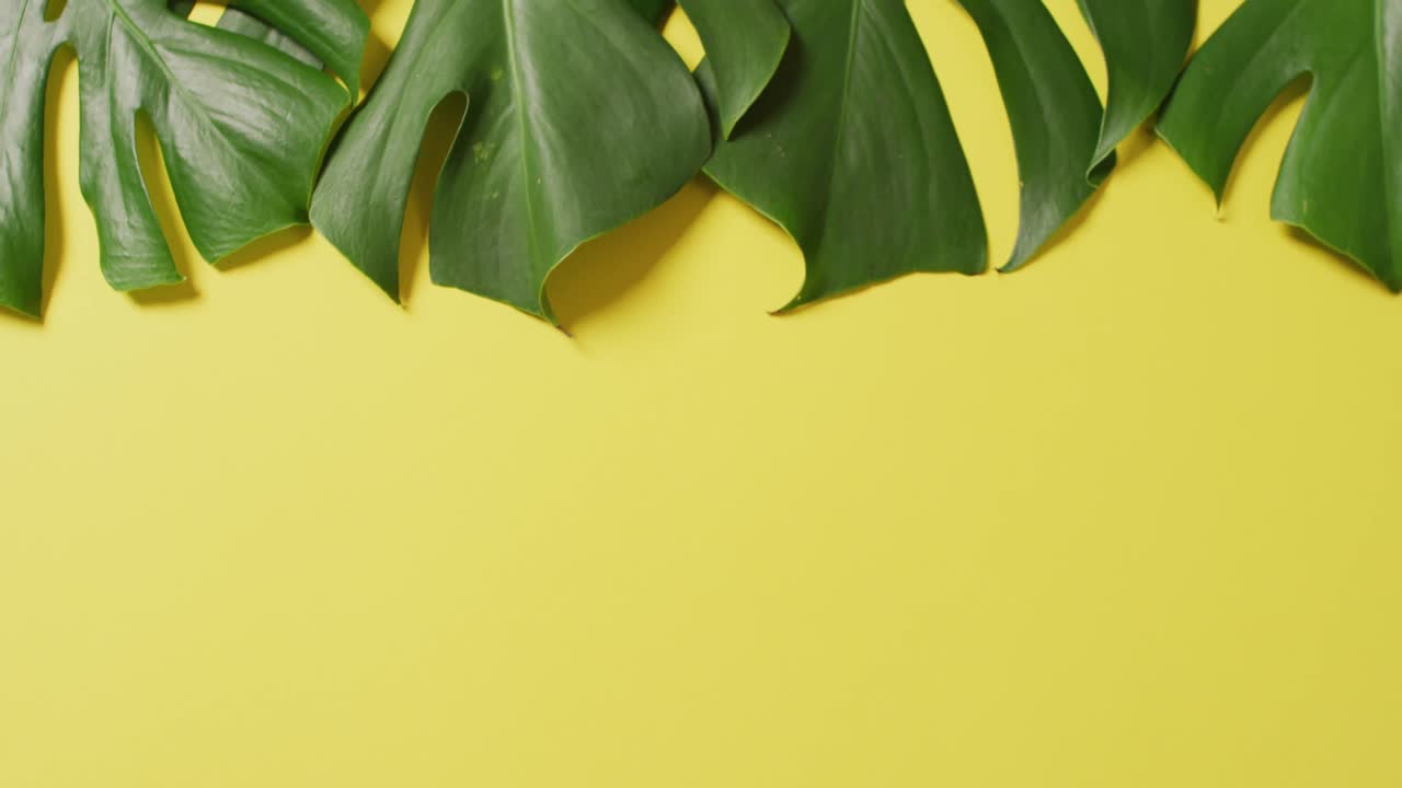 복사 공간과 함께 노란색 배경에 녹색 울창한 잎의 애니메이션