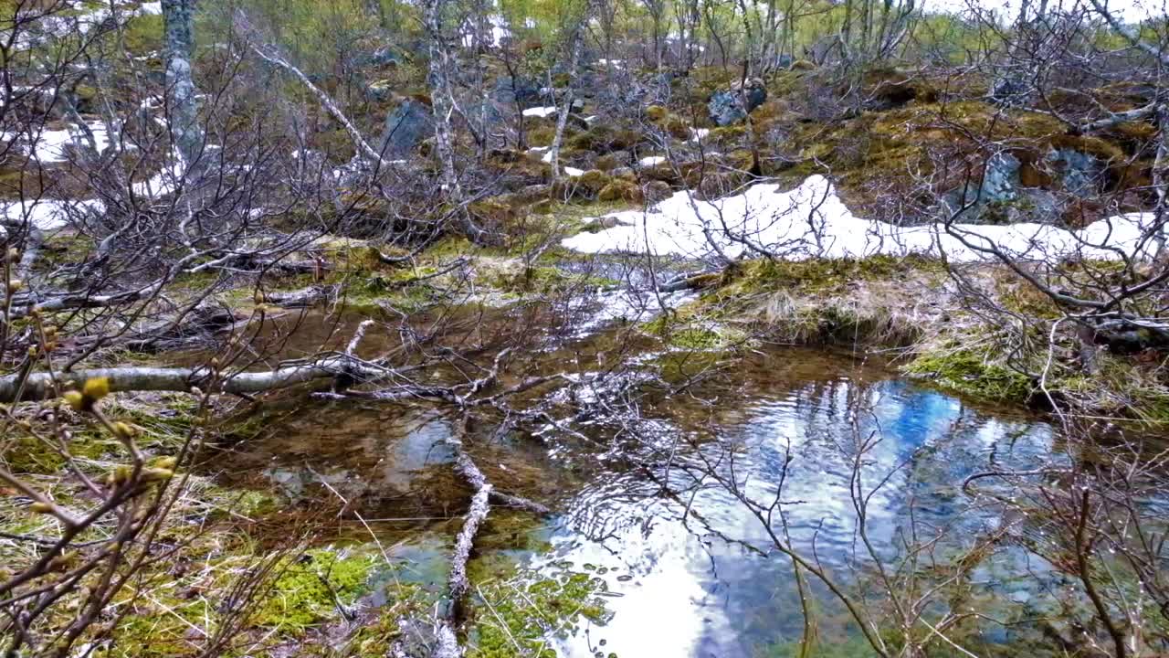 corriente del glaciar