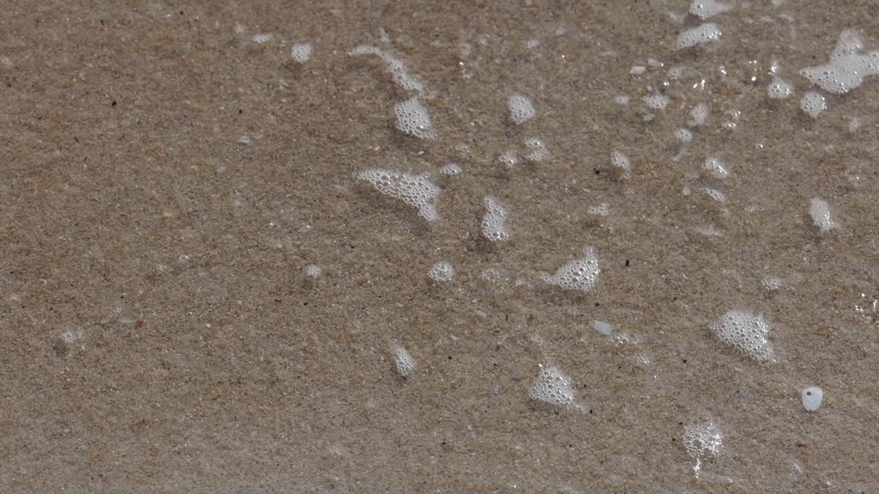 모래 해변을 부드럽게 는 파도