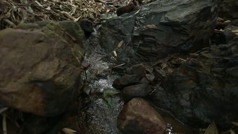 Streams-from-the-mountains