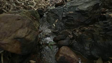 streams from the mountains