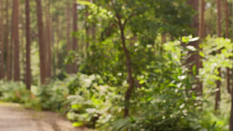 hombre con auriculares inalámbricos haciendo ejercicio haciendo ejercicio al aire libre transmitiendo música o podcast desde el teléfono móvil corriendo por la pista en el bosque con ropa deportiva 1