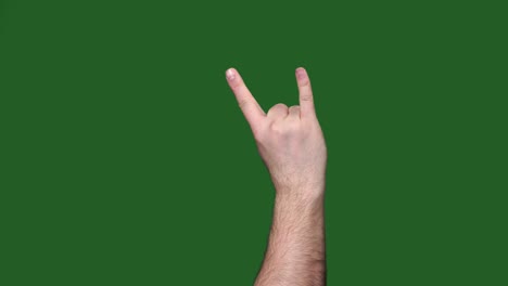 chromakey. green screen. hand at a rock concert. horns. that rocks.