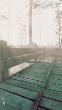 misty forest bridge