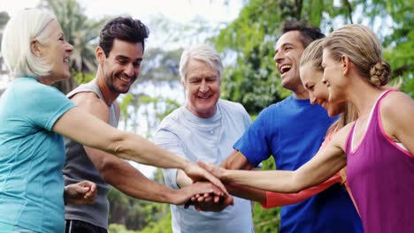 Gruppe-Von-Menschen,-Die-Im-Park-Handstapel-Bilden