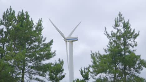 Wind-turbine-rotating-between-pine-trees-blowing-in-wind-on-cloudy-summer-day