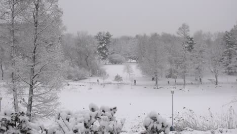 falling snow in a winter park with snow covered trees, slow motion