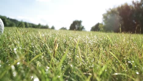 un club de golf sin éxito golpea una pelota de golf en una cámara súper lenta. gotas de rocío matutino y partículas de hierba se elevan en el aire después del impacto. filmado en una cámara de cámara súper lento 1000 fps.