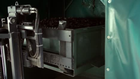 Spruce-cones-are-poured-out-in-heap-to-dry-in-drying-cabinet