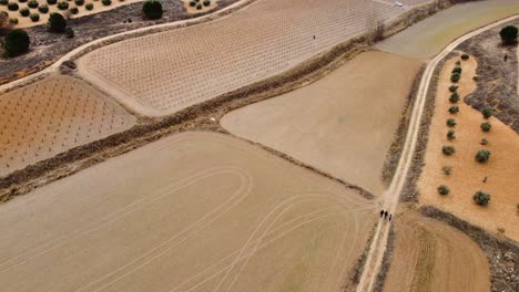 Mosaic-of-crops-in-spain