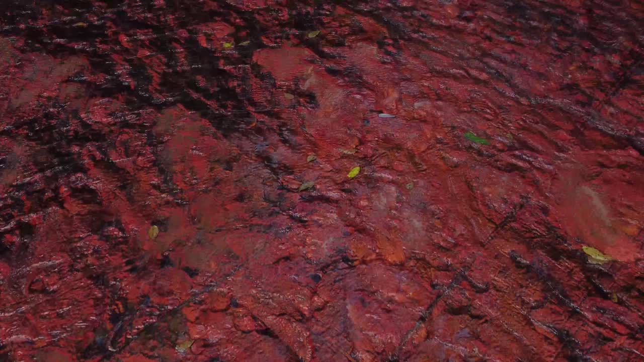 베네수엘라의 그란 사바나에 위치한 재스퍼라는 돌의 전체 표면을 통과하는 강의 물의 정면 여행 샷