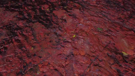 frontal traveling shot of the waters of a river passing over an entire surface of a stone called jasper, located in the gran sabana in venezuela