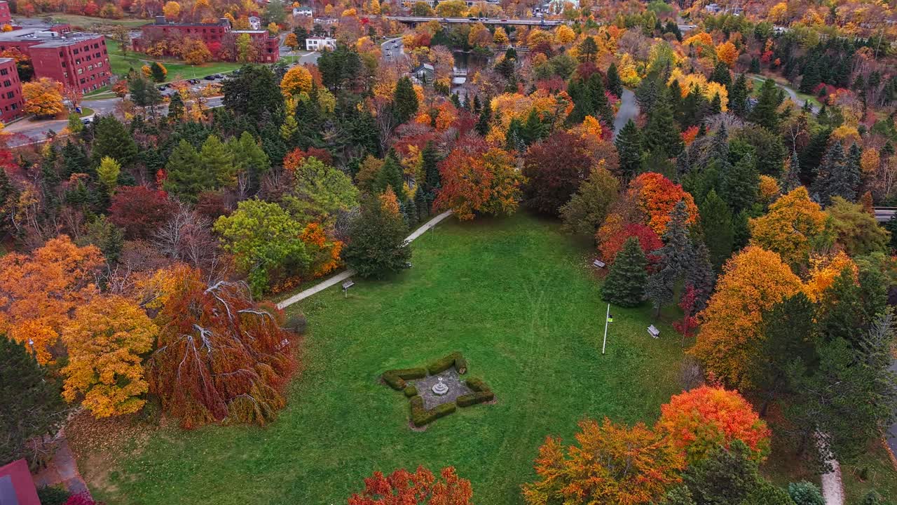 Wide drone shot of Bowring Park’s expansive grassy field dotted with evergreens and deciduous trees, framed by a gentle hillside in autumn glory