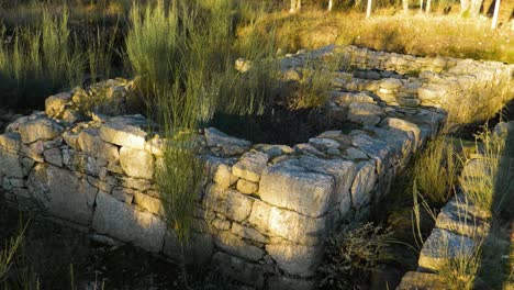 Golden-hour-light-glistens-on-rock-walls-of-old-square-fortified-structure-as-wind-blows-grass