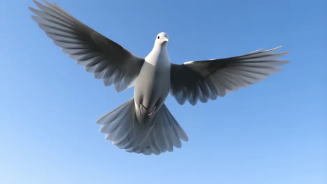 white dove flying in a blue sky