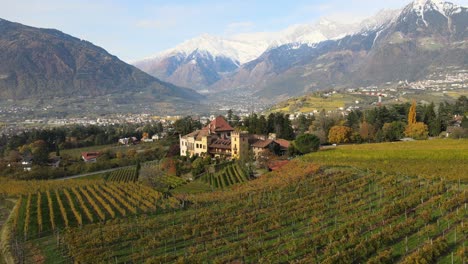 aerial drone over a medieval castle in the middle of the vineyards in italy