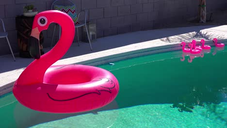 an artificial inflatable flamingo floats in a swimming pool at a palm springs home 1