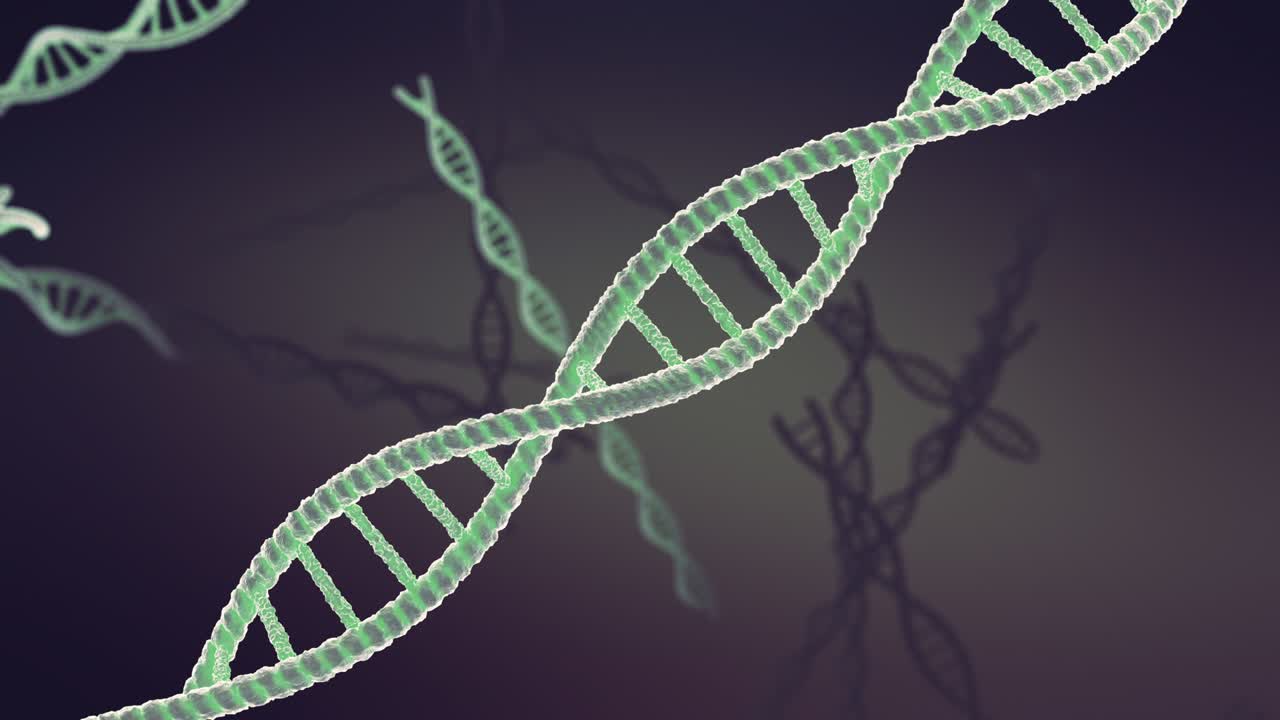 estructura molecular del adn, cadena de doble hélice giratoria del adn en bucle