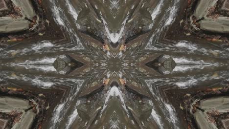 caleidoscopio de tomas de la naturaleza, wissahickon creek