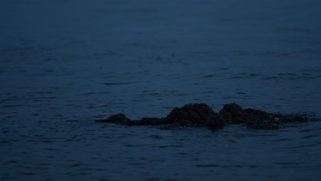 water flowing round rock at sea in dark evening light, slow motion