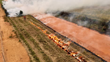 controlled burn firebreak created using drip torch by laborer, aerial view