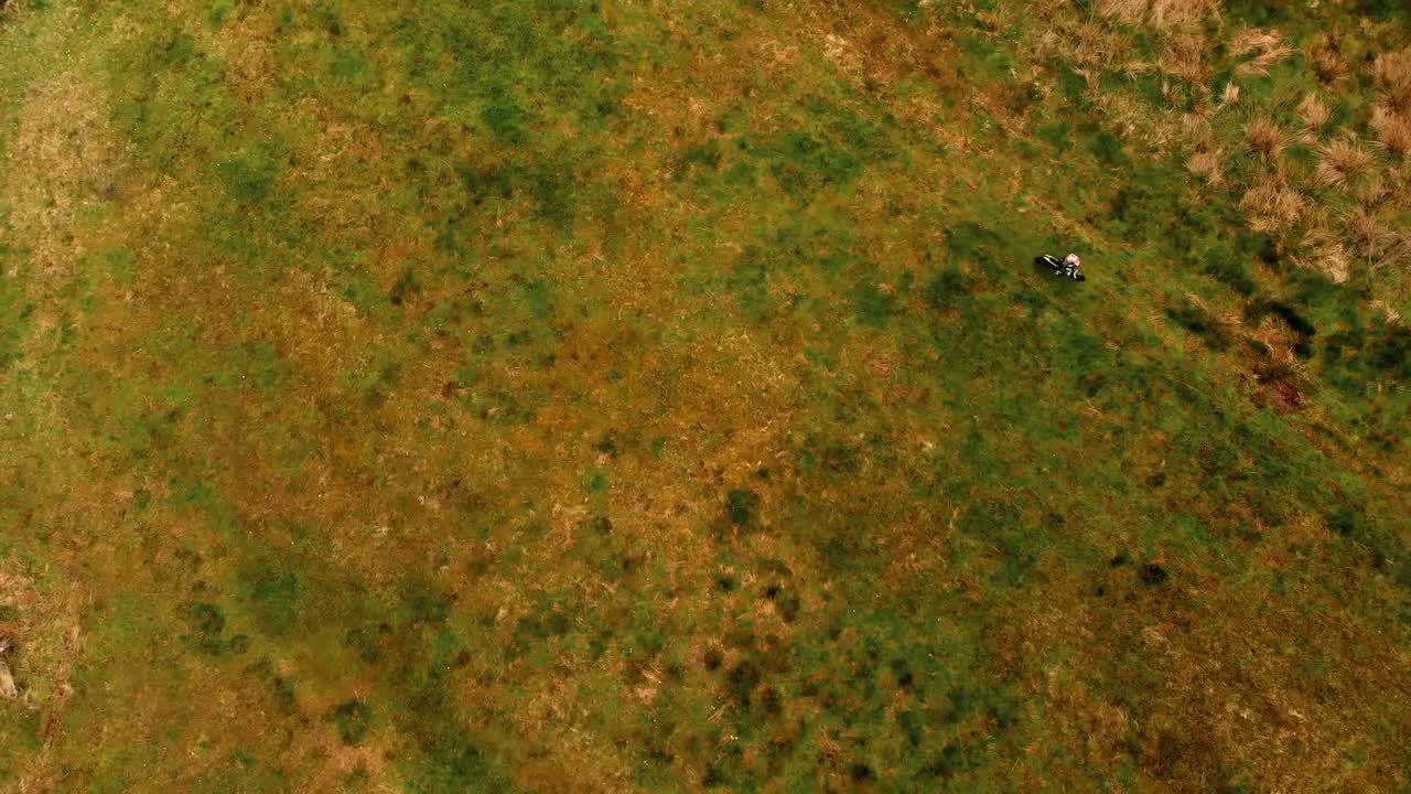 Ragazzo in bicicletta in un campo verde 4k