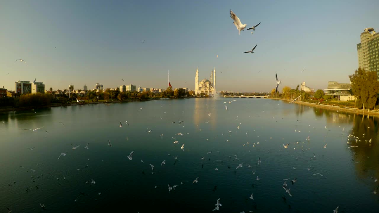 강을 가로질러 는 까마귀들, 터키의 도시 아달나의 중심에 있는 멀리 있는 모스크