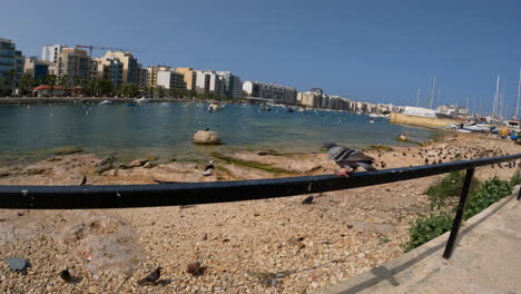 La-Libertad-Está-Siendo-Disfrutada-Por-Palomas-De-Roca-Palomas-En-La-Playa-De-Malta-Y-Gozo