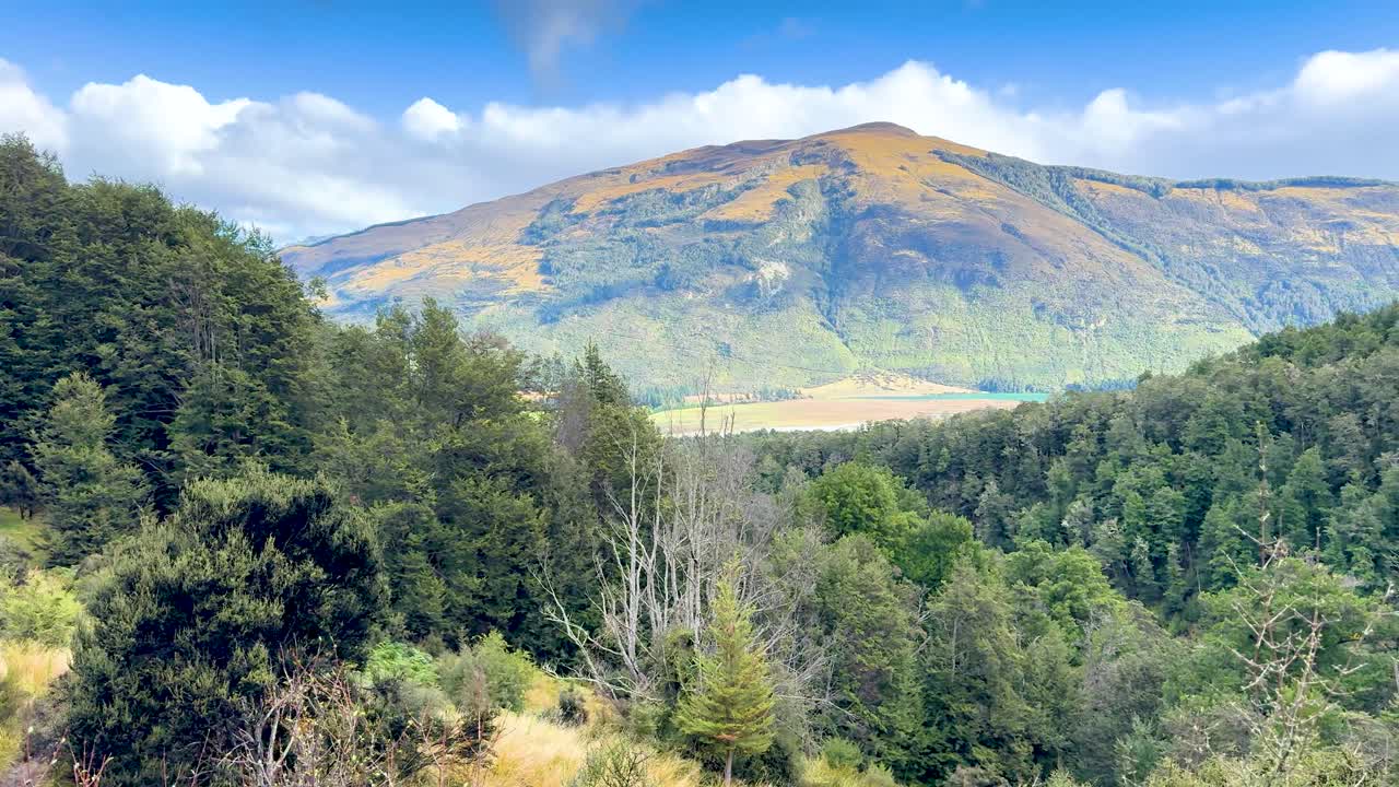 Camera pans across vibrant forest revealing Mount Earnslaw under bright daylight, wide landscape perspective