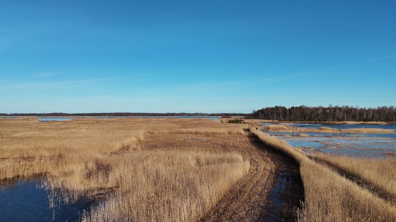 Træstier gennem Kaniera-søens siv, luftfoto om foråret, Lapmezciems, Letland