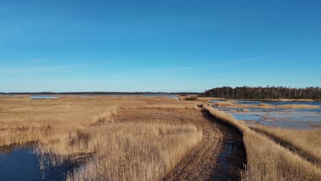 wooden bords trail through the kaniera lake reeds aerial spring shot lapmezciems, latvia