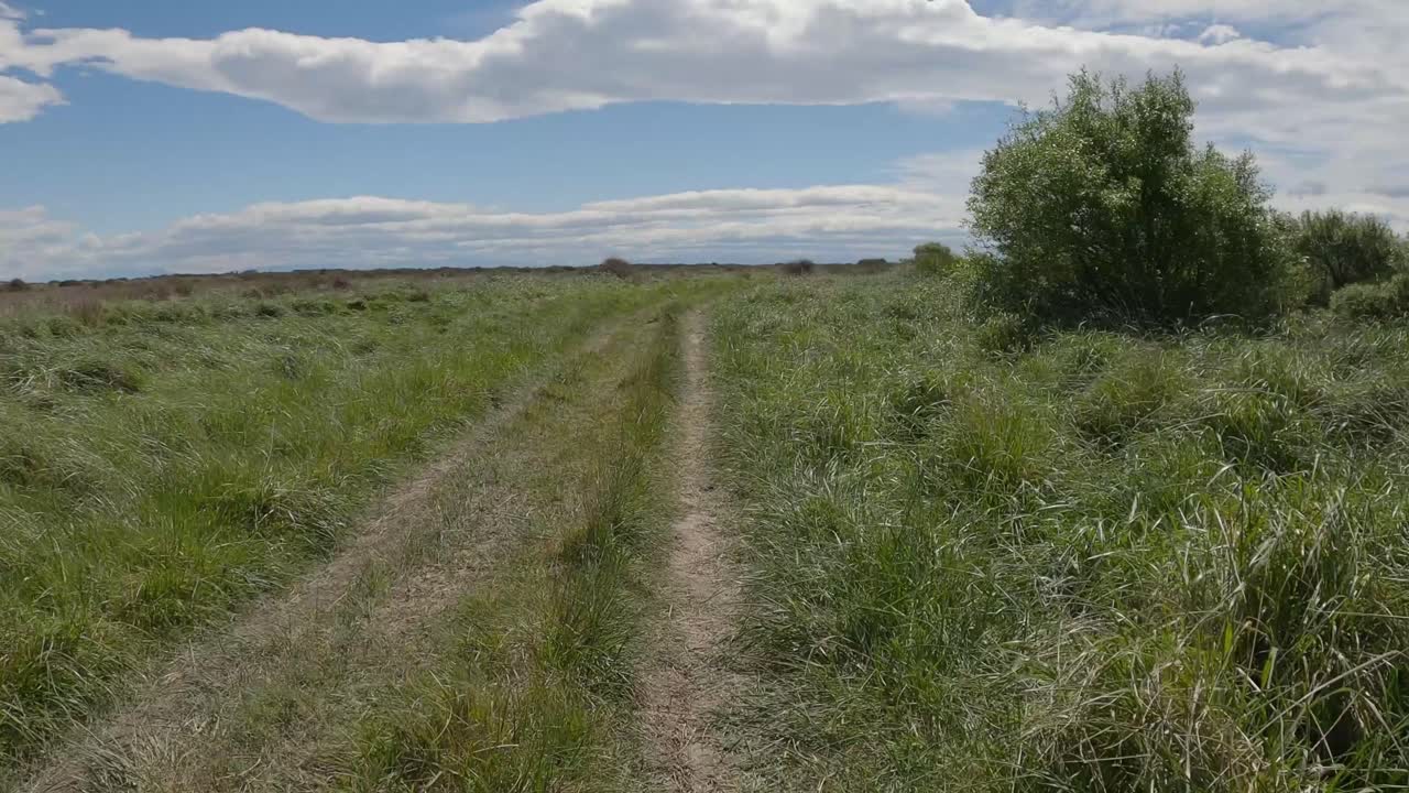 POV off-road cycling on a bumpy, dirt track with lush green grass and strong head wind in summertime - Halswell River, Canterbury (New Zealand)