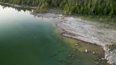 órbita-Aérea-De-Patos-De-Agua-De-Buceo-A-Lo-Largo-De-La-Costa