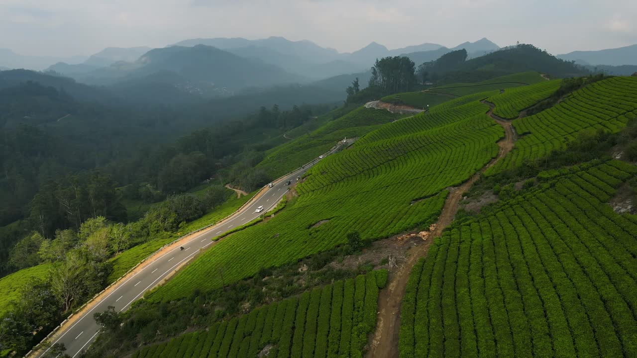 Ripresa aerea con drone delle montagne nebbiose di Munnar e delle magnifiche piantagioni di tè sottostanti.