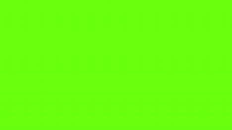 hand holds smartphone with vaccine passport. green immunity certificate. health passport on digital screen with qr code. flat style. green screen. 4k animation
