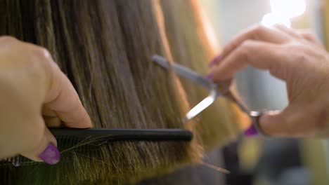 hair cutting at a hair salon