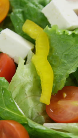 close-up of salad