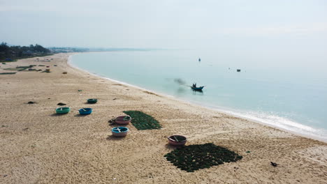 seaweed being dried on the beach