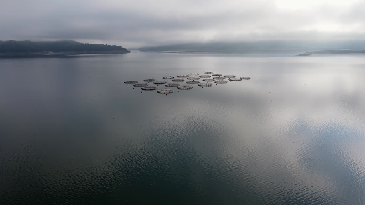 케이지 에 많은 물고기 인클로저 를 가진 물고기 농장 위 의 공중 풍경