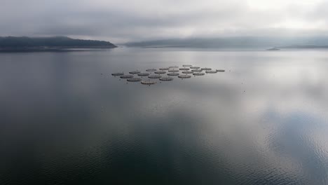 vista aérea sobre una granja de peces con muchos recintos de peces en jaulas