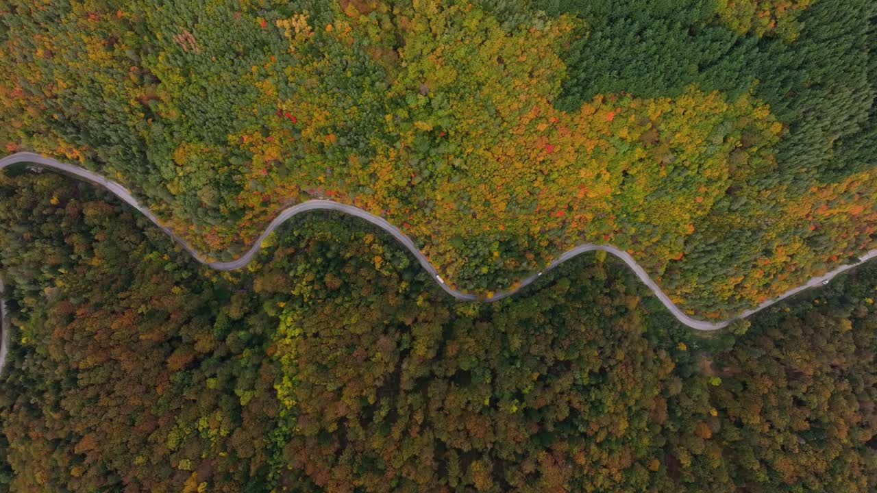 Rolling hills and red trees frame winding traffic path, Bulgaria