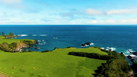 Green-coastline-and-Pacific-ocean-horizon-from-Hawaii-island,-aerial-view