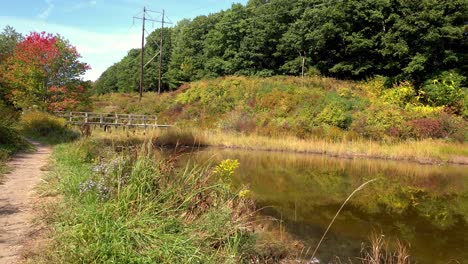 fore river santuary, portland, maine showing trail leading to wooden bridge and early fall foliage