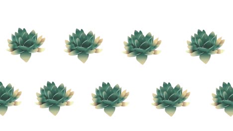 Komposition-Aus-Reihen-Grüner-Blumen,-Die-Sich-Auf-Weißem-Hintergrund-Bewegen