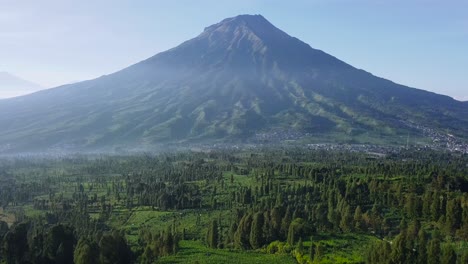 Drone-shot-of-rural-Tobacco-Plantation-with-giant-mountain-in-background-din-the-morning-with-slightly-foggy-weather