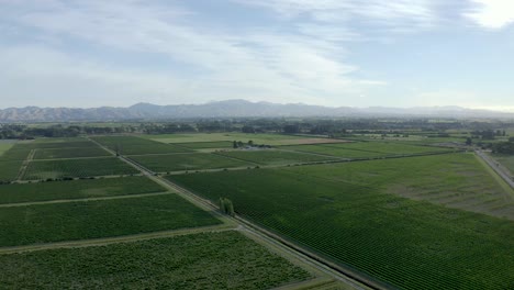 Un-Dron-Inclinado-Revela-Muchos-Viñedos-De-Uvas-Listas-Para-Ser-Cosechadas-En-Nueva-Zelanda